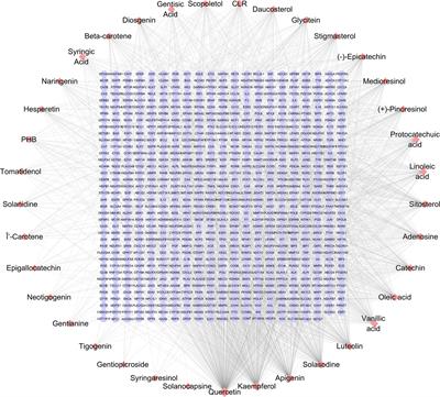 Exploring the components and mechanism of Solanum nigrum L. for colon cancer treatment based on network pharmacology and molecular docking